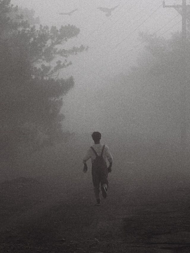 Lost in the Mist: A Journey Through SleepZone